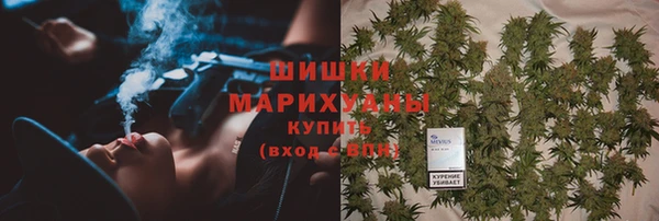 индика Арсеньев