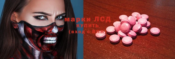 индика Арсеньев