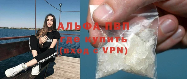индика Арсеньев