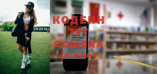 индика Арсеньев