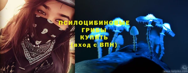 стафф Аркадак