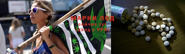 индика Арсеньев