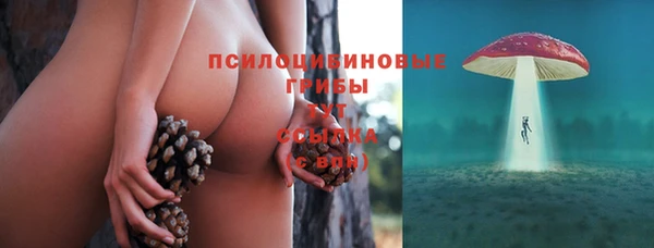 индика Арсеньев