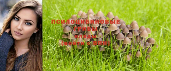 индика Арсеньев