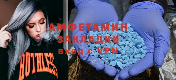 индика Арсеньев