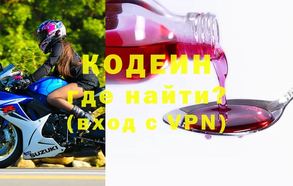 индика Арсеньев