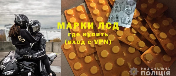 индика Арсеньев