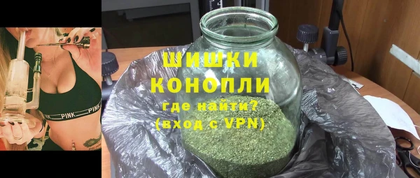 индика Арсеньев