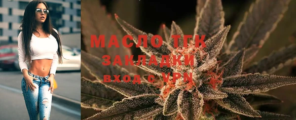 индика Арсеньев